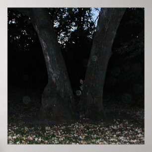 Beängstigende Fee Poster