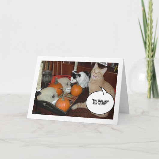 Beängstigende Halloween-Katzen Karte (Vorderseite)