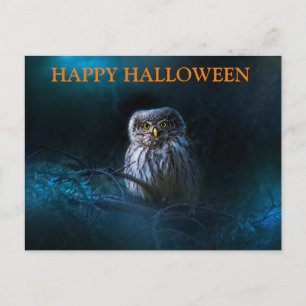 Beängstigende Halloween-Nacht mit Owls Postkarte