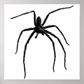 Beängstigende halloween spinne poster (Vorne)