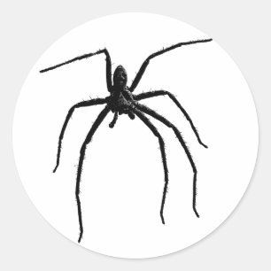 Beängstigende halloween spinne runder aufkleber