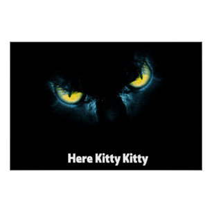 Beängstigende Katzenaugen auf schwarzem Hintergrun Poster