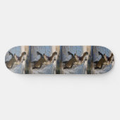 Beängstigende Kiefer: Australisches Krokodil-Leapi Skateboard (Horizontal)