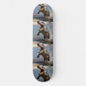 Beängstigende Kiefer: Australisches Krokodil-Leapi Skateboard (Vorderseite)