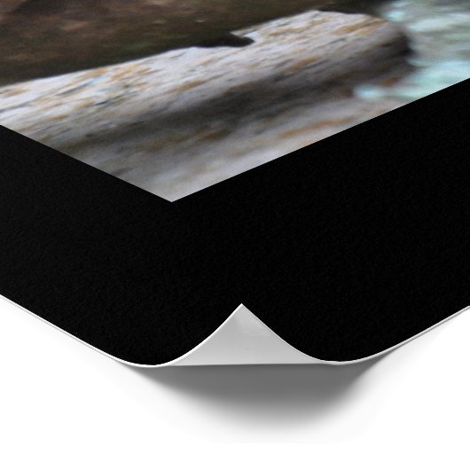 Beängstigende Possum - Poster (Ecke)