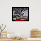 Beängstigende Possum - Poster (Küche)