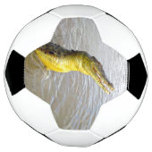 Beängstigende Schnapper: Der Sprung des Krokodils, Fußball (Gedreht)
