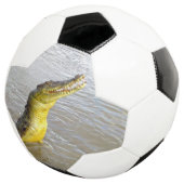 Beängstigende Schnapper: Der Sprung des Krokodils, Fußball (Dreiviertel)