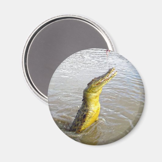 Beängstigende Schnapper: Der Sprung des Krokodils, Magnet (Vorderseite/Rückseite)