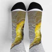 Beängstigende Schnapper: Der Sprung des Krokodils, Socken (Oben)