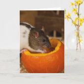 beängstigende Schwarzhornratte, die Kürbiskerne fr Karte (Gelbe Blume)