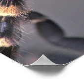Beängstigende Tarantula Poster (Ecke)