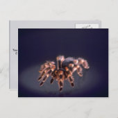 Beängstigende Tarantula-Spinne Postkarte (Vorne/Hinten)