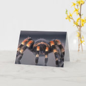 Beängstigende Tarantulaspinne Karte (Gelbe Blume)