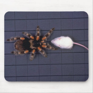 Beängstigende Tarantulaspinne und weiße Maus Mousepad