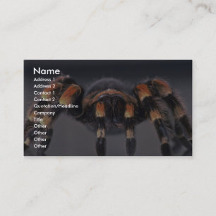 Beängstigende Tarantulaspinne Visitenkarte