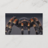 Beängstigende Tarantulaspinne Visitenkarte (Rückseite)