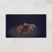 Beängstigende Tarantulaspinne Visitenkarte (Rückseite)