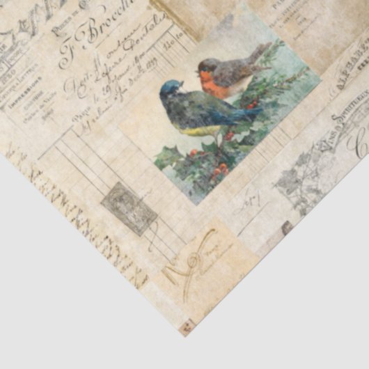 Beängstigende Vögel und Papier-Ephemeriden-Gewebe Seidenpapier (Ausschnitt)