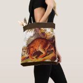 beängstigender Bobcat Tasche (Von Nahem)