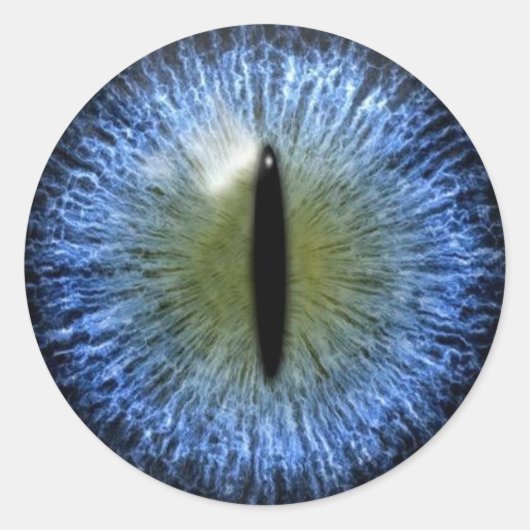 Beängstigender Halloween Cat Eyeball Runder Aufkleber (Vorderseite)
