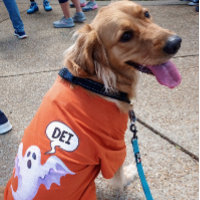 Beängstigender Halloween-Geist - DEI - orange