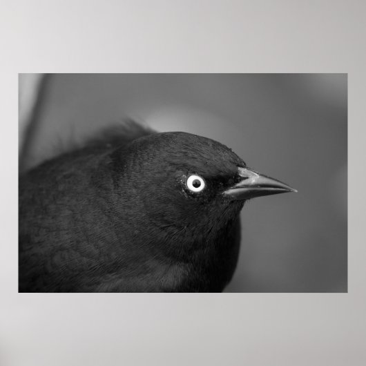 Beängstigender Hitchcock Poster (Vorne)