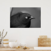 Beängstigender Hitchcock Poster (Küche)