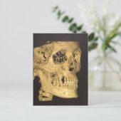 Beängstigender Schädel Postkarte (Stehend Vorderseite)