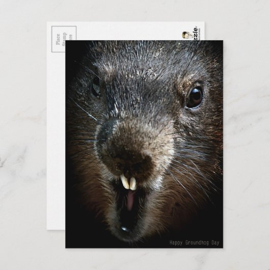 Beängstigender Tag Postkarte (Vorne/Hinten)