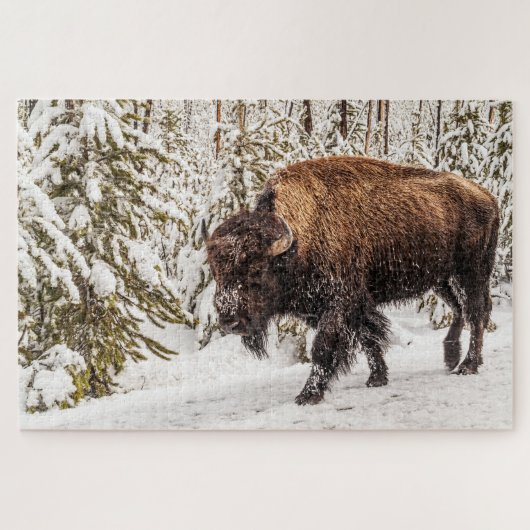 Beängstigendes Bison (Bison bison) - Buffalo - 101 Puzzle (Horizontal)