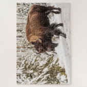 Beängstigendes Bison (Bison bison) - Buffalo - 101 Puzzle (Vertikal)