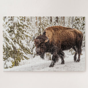 Beängstigendes Bison (Bison bison) - Buffalo - 10 Puzzle