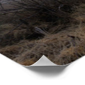 Beängstigendes Halloween. Poster (Ecke)