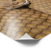 Beängstigendes Rattlesnake Foto (Ecke)