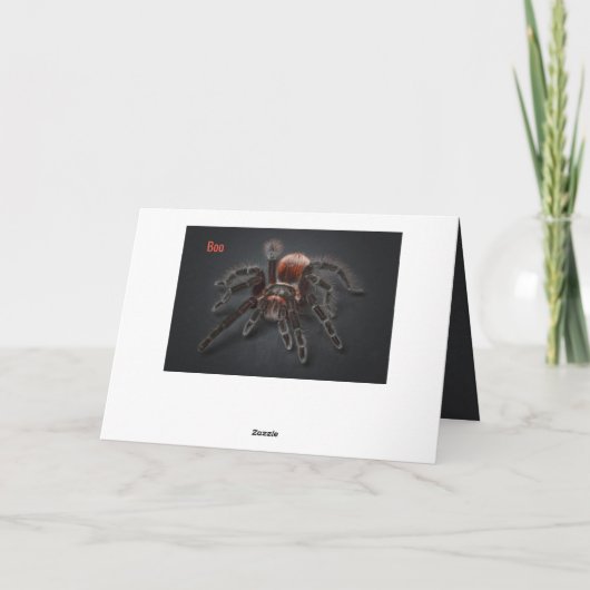 Beängstigendes Tarantula Spider Arachnophobie Alte Karte (Rückseite)