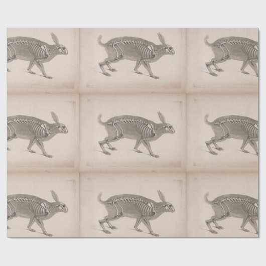 Beängstigendes Vintages Häschenskelett Geschenkpapier (Flach)