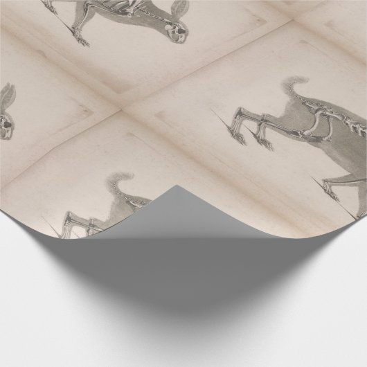 Beängstigendes Vintages Häschenskelett Geschenkpapier (Ecke)
