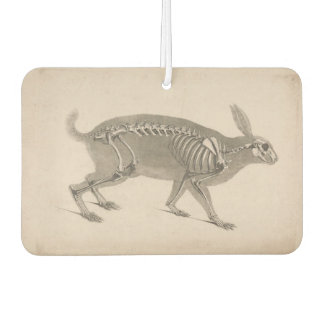 Beängstigendes Vintages Hasen-Skelett Autolufterfrischer