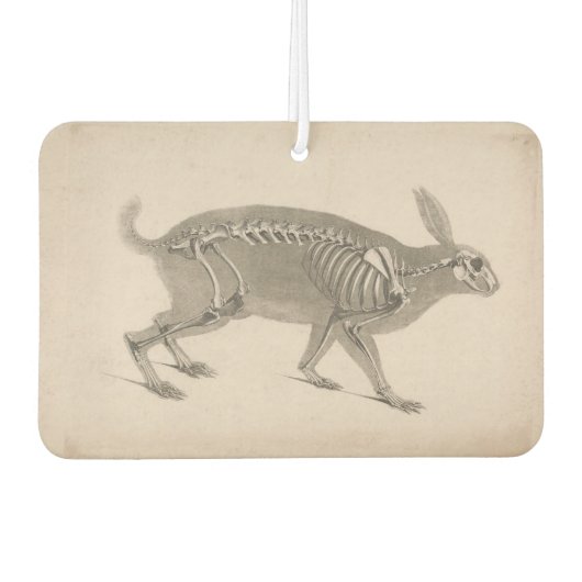 Beängstigendes Vintages Hasen-Skelett Autolufterfrischer (Vorderseite)