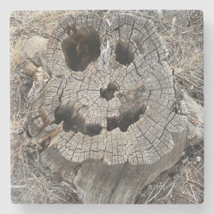 Beängstigendes Wüstenbaum-Trunk-Gesicht Steinuntersetzer