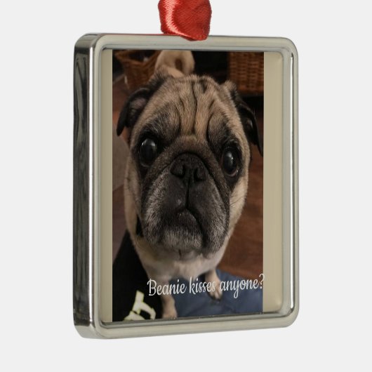 Beanie kissea jedermann? ornament aus metall (Rechts)