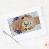 Beanie Llama Rechteckiger Aufkleber (Umschlag)