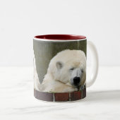 Bear_001 Zweifarbige Tasse (VorderseiteRechts)