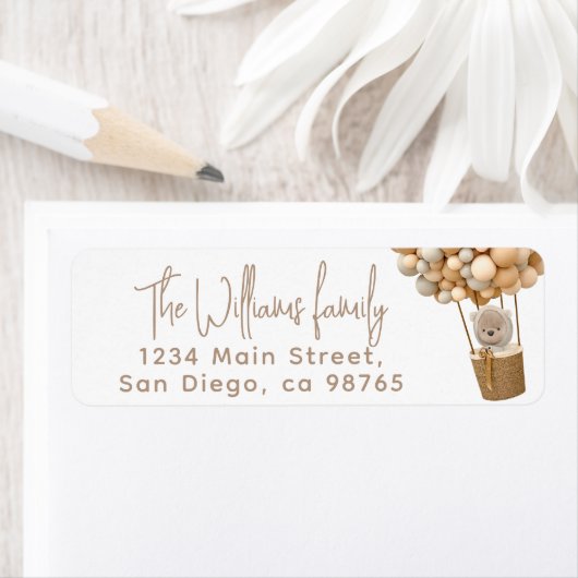 Bear Balloons Moderne geschlechtsneutrale Babydusc (Insitu)