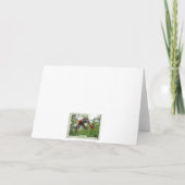 Bear Berries, glücklich zum Geburtstag! Karte (Rückseite)