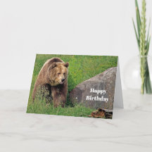 Bear Brown Grizzly Foto Geburtstag