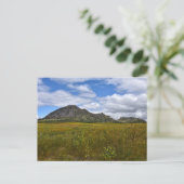 Bear Butte, South Dakota Postcard Postkarte (Stehend Vorderseite)