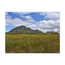 Bear Butte, South Dakota Postcard