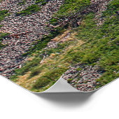 Bear Butte Staat Park, South Dakota Poster (Ecke)